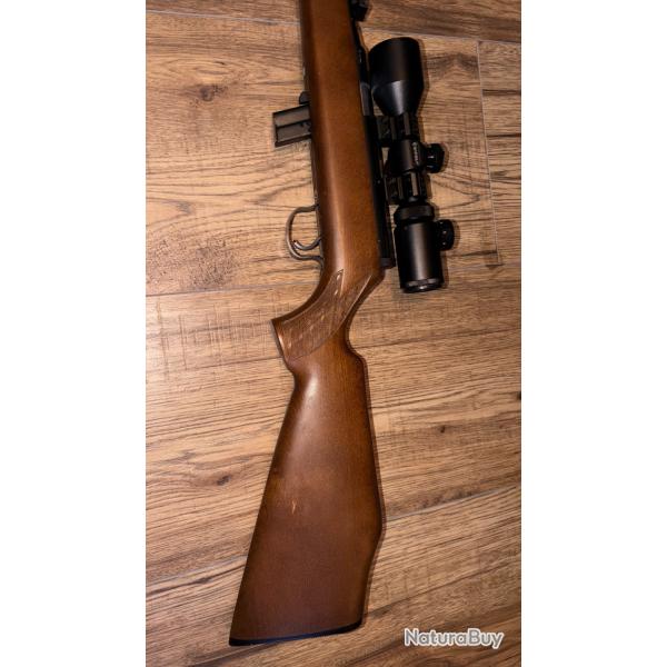 MAUSER-WERKE 22lr semi auto