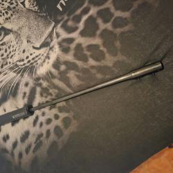 Canon blaser R8 338win mag
