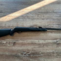 Carabine air comprim&eacute; 4,5 mm GAMO BIG CAT CF-S 19,9J neuve