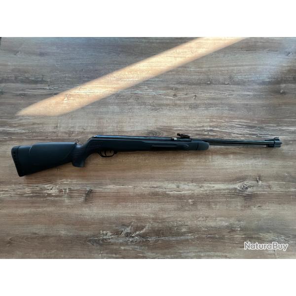 Carabine air comprim� 4,5 mm GAMO BIG CAT CF-S 19,9J neuve