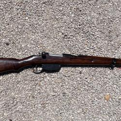 Carabine Steyr M95