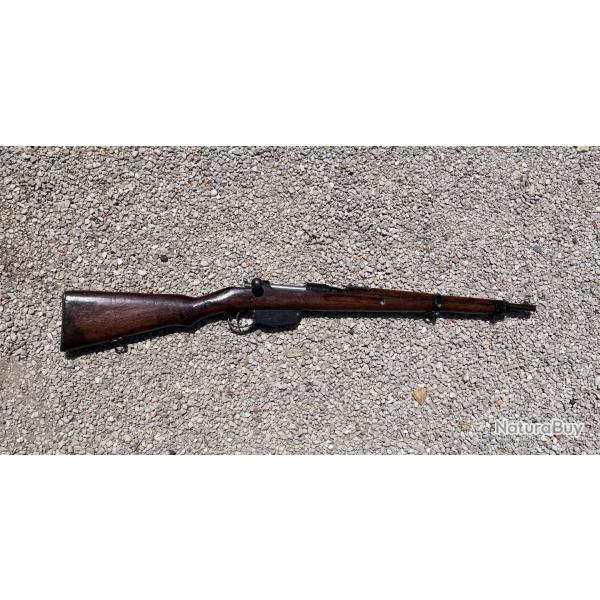 Carabine Steyr M95