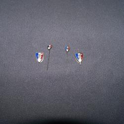 Lot de 4 insignes l&eacute;gion Fran&ccedil;aise des combattants ww2 vichy