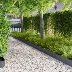 Bordure de Pelouse 50 pcs 100 x 20 cm Acier Anthracite
