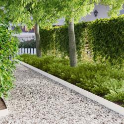 Bordure de Pelouse 20 pcs 100 x 15 cm Acier Blanc