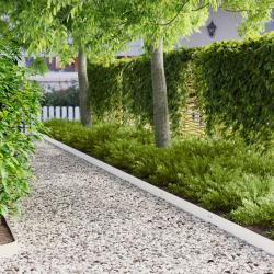 Bordure de Pelouse 20 pcs 100 x 12 cm Acier Blanc