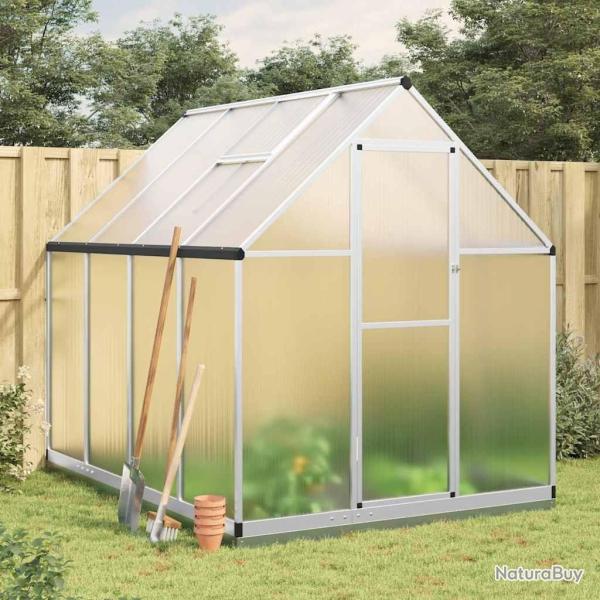 Serre avec cadre de base argent� 224x169x202 cm aluminium