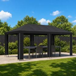 Abri de jardin 6 x 3 m Noir Polyester et Acier 190