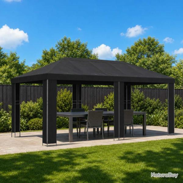 Abri de jardin 6 x 3 m Noir Polyester et Acier 190
