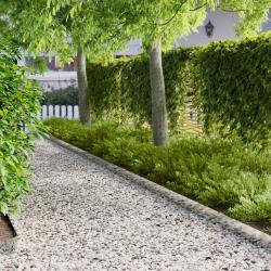 Bordure de Pelouse 50 pcs 103 x 15 cm m&eacute;tal Argent&eacute;