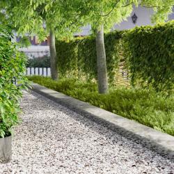Bordure de Pelouse 20 pcs 103 x 30 cm m&eacute;tal Argent&eacute;