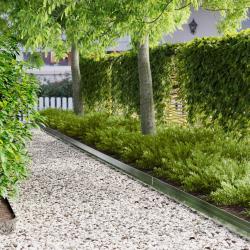 Bordure de Pelouse 20 pcs 100 x 10 x 8 cm Acier Argent&eacute;
