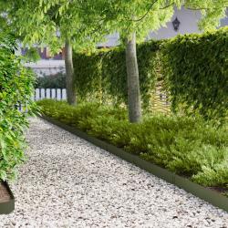 Bordure de Pelouse 10 pcs 100 x 15 cm Acier Vert olive