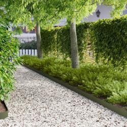 Bordure de Pelouse 10 pcs 103 x 10 cm Acier Vert olive
