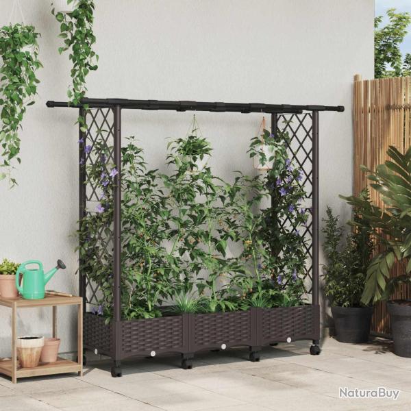 Lit �lev� avec Treillis et Toit Marron 164 x 40 x 127 cm PP