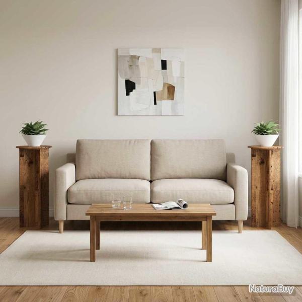 Support de Plante 2 pcs Bois ancien �40 x 100 cm