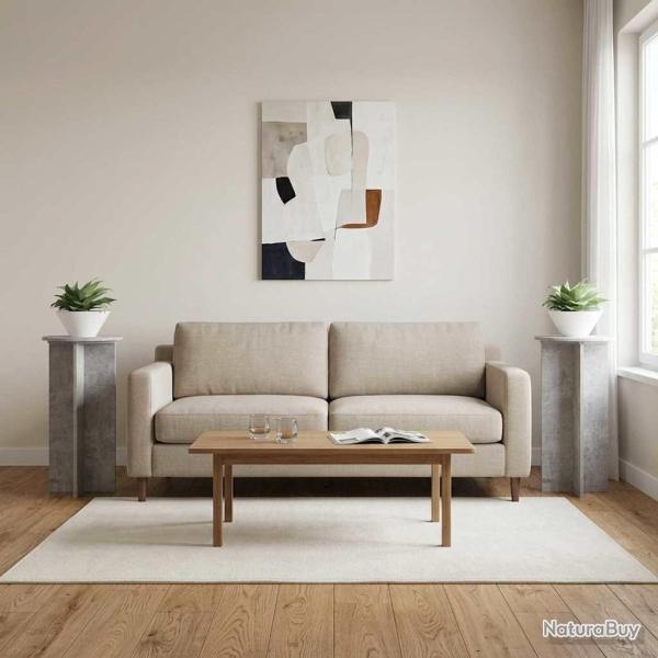 Support de Plante 2 pcs Gris b�ton 40 x 40 x 80 cm