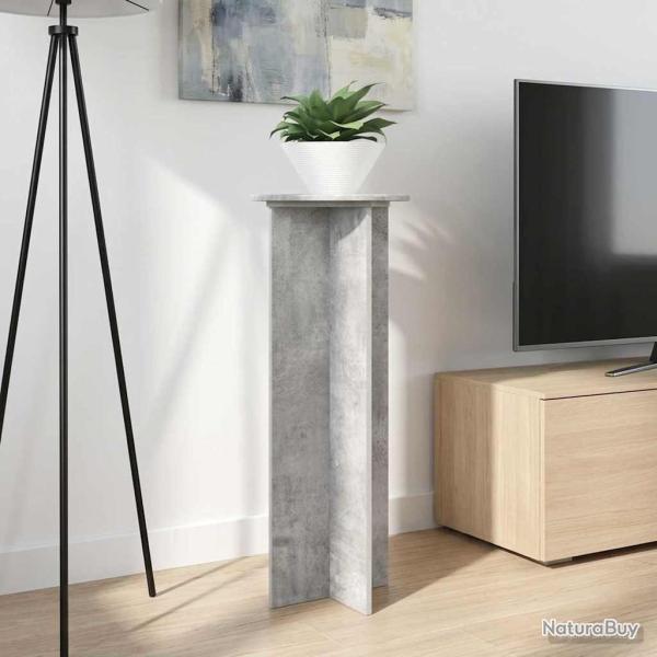 Support de Plante 2 pcs Gris b�ton �40 x 100 cm