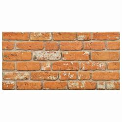 Panneaux muraux 10 pcs Brique 100 x 50 cm Mousse EPS