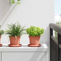 Pots de plantes 6 pcs Rouge brique &Oslash; 12,5 x 10 cm Plastique