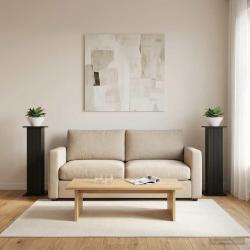 Support de Plante 2 pcs Noir 30,5 x 30 x 100,5 cm