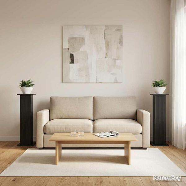 Support de Plante 2 pcs Noir 30,5 x 30 x 100,5 cm
