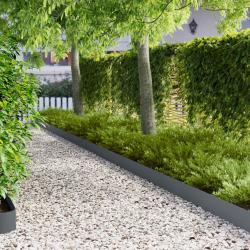 Bordure de Pelouse 10 pcs 100 x 12 cm Acier Anthracite
