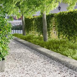 Bordure de Pelouse 20 pcs 100 x 30 cm Acier Argent&eacute;