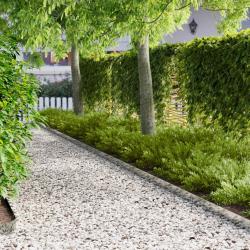 Bordure de Pelouse 30 pcs 100 x 12 cm Acier Argent&eacute;