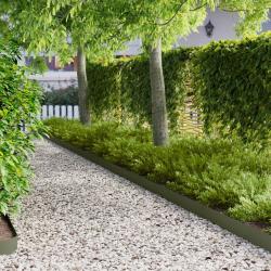 Bordure de Pelouse 10 pcs 103 x 15 cm m&eacute;tal Vert olive