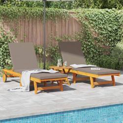 Transat 2-personne 3 pcs Marron Bois d'Acacia Massif