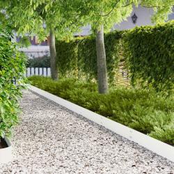 Bordure de Pelouse 30 pcs 100 x 20 cm Acier Blanc