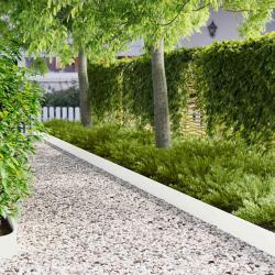 Bordure de Pelouse 30 pcs 103 x 15 cm Acier Blanc
