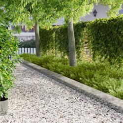 Bordure de Pelouse 20 pcs 100 x 25 cm Acier Argent&eacute;
