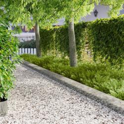 Bordure de Pelouse 20 pcs m&eacute;tal