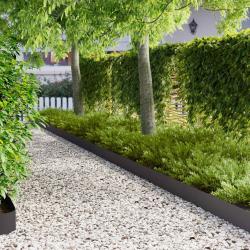 Bordure de Pelouse 10 pcs 103 x 15 cm Acier Noir