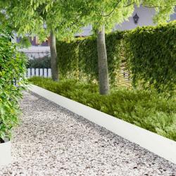 Bordure de Pelouse 20 pcs 103 x 25 cm Acier Blanc