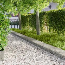 Bordure de Pelouse 10 pcs 103 x 30 cm Acier Argent&eacute;