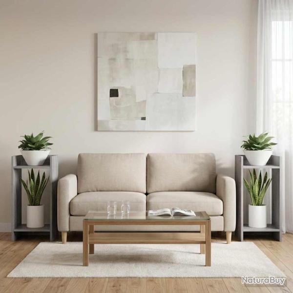 Support de Plante 2 pc Gris Sonoma 30 x 30 x 60 cm