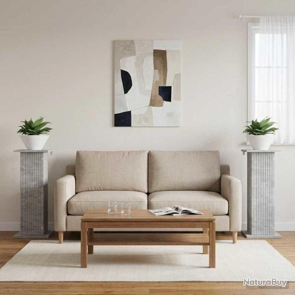 Support de Plante 2 pcs Gris b�ton 30,5 x 30 x 80,5 cm