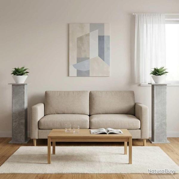 Support de Plante 2 pcs Gris b�ton 30,5 x 30 x 100,5 cm