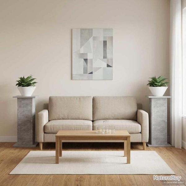 Support de Plante 2 pcs Gris b�ton 30,5 x 30 x 60,5 cm