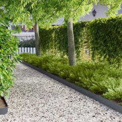Bordure de Pelouse 10 pcs 103 x 15 cm m&eacute;tal Anthracite