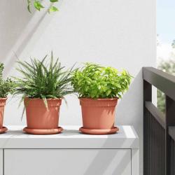 Pots de plantes 6 pcs Rouge brique &Oslash; 15 x 12 cm Plastique