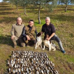 CHASSE GRIVES ESPAGNE REGION EXTREMADURE