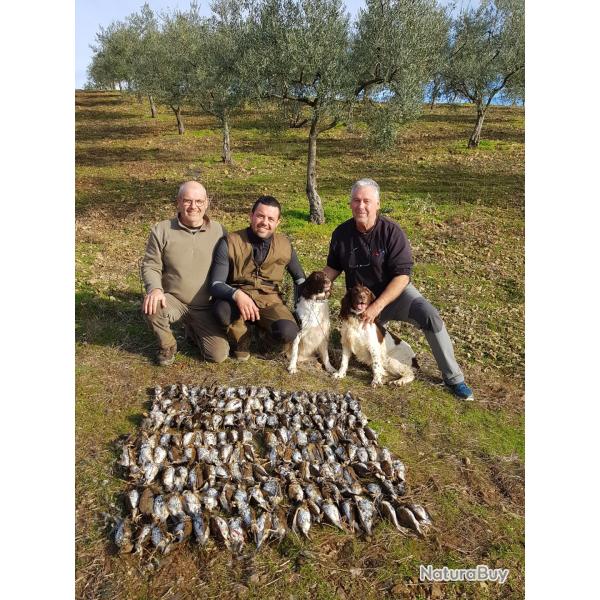 CHASSE GRIVES ESPAGNE REGION EXTREMADURE