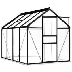 Serre tente abri plante fleur l&eacute;gumes avec cadre de base aluminium 4,75 m&sup2; anthracite 02_0044510