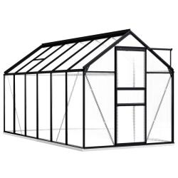 Serre tente abri plante fleur l&eacute;gumes avec cadre de base aluminium 7,03 m&sup2; anthracite 02_0044512