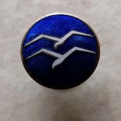 Badge de pilote WW2