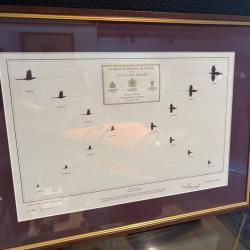 TABLEAU "PURDEY & SONS" Tir de haut vol